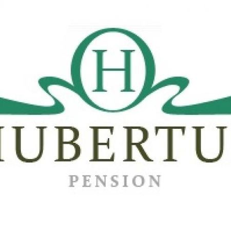 Pension Hubertus Aš Exteriér fotografie